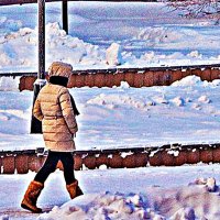 Декабрь...В солнечный денек! :: Владимир 