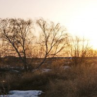 Окончание весеннего дня. :: сергей ермошкин