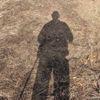 Ты чья тень? :-) :: Андрей Заломленков