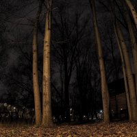 ***** :: юрий поляков