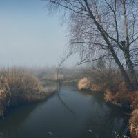 Сказ о тумане синем,да берёзке нестарой ... :: Roman Lunin