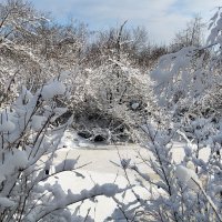 В гостях у сказки!!! :: Радмир Арсеньев В гостях у сказки!!! :: Радмир Арсеньев