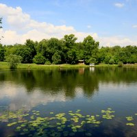 Шибаевский пруд :: Игорь Белоногов