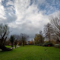 Ноябрьское... :: Николай Гирш