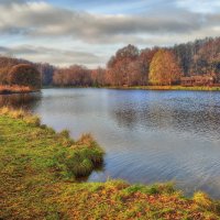 20 ноября :: Наталья Лакомова