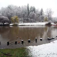 Царицыно утром 15 ноября :: Михаил Бибичков Царицыно утром 15 ноября :: Михаил Бибичков