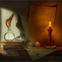 «Из тени в свет перелетая» :: Oleg Rastorguev