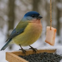 Птичка :: Александр Деревяшкин