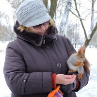 Ох уж эти белки... :: Мария Васильева