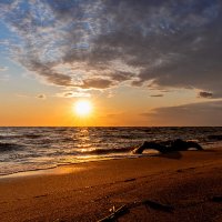 Летний вечер :: Виктор Желенговский