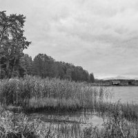 Б/Н :: Николай 