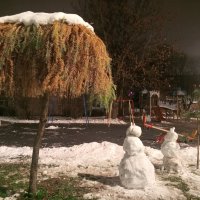 Лиственница :: Сапсан 