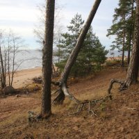 Репино :: Наталья Герасимова Репино :: Наталья Герасимова