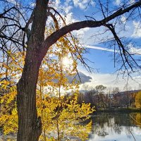 Краски осени. Петропавловский парк. :: Михаил Свиденцов