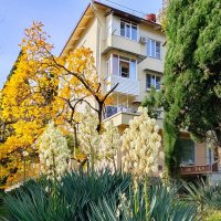 ноябрь :: Tata Wolf