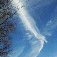 "Птичка" летит :: Людмила Смородинская