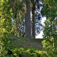 ПУШКИНСКИЕ ГОРЫ. :: Виктор Осипчук ПУШКИНСКИЕ ГОРЫ. :: Виктор Осипчук