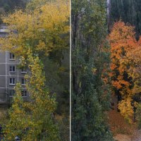 осень за окном :: Лера 