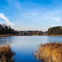 Природа Смоленщины во второй половине ноября. :: Милешкин Владимир Алексеевич 