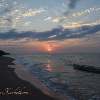 Природа Крыма :: Amazing Cosmea