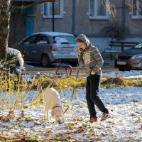 Прогулка с собакой :: Александр Синдерёв