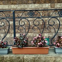 *** :: Валентина Береснева