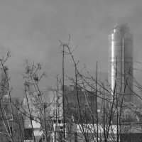 *** :: Сергей Сергеев