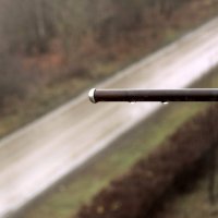 капельку Осени :: Елена Минина