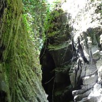 Иллюзия :: Павел Трунцев