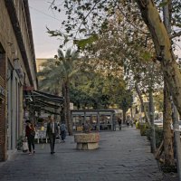 ,2025г Хайфа :: ujgcvbif 