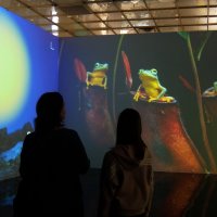 Созерцание. :: Люба Созерцание. :: Люба