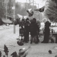 Голуби детства (чб) :: Сергей Царёв