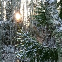 **** :: Ольга Попова (popova/j2011) **** :: Ольга Попова (popova/j2011)