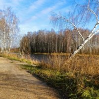 Осенний пейзаж. :: Милешкин Владимир Алексеевич Осенний пейзаж. :: Милешкин Владимир Алексеевич