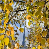 Краски осени. Петропавловский парк. :: Михаил Свиденцов
