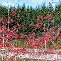 Прогулка по парку Кадриорг :: Veera V Прогулка по парку Кадриорг :: Veera V