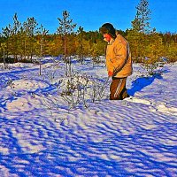 Ноябрь....Оттепель в лесу!. :: Владимир 