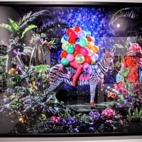 Ноябрьские покатушки ! :: Анатолий Колосов