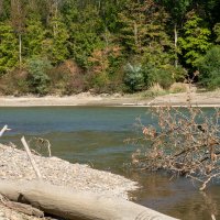 Река Кубань :: Игорь Сикорский