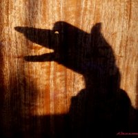 С Днём психолога! А как вы справляетесь со своими страхами? :-) :: Андрей Заломленков