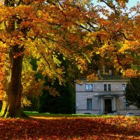 Одно утро осени :: Юрий. Шмаков Одно утро осени :: Юрий. Шмаков