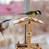 Как выскочу, как выпрыгну, и пойдут клочки по закоулочкам. :: Татьяна Бравая