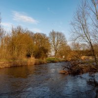 *** :: Николай Гирш