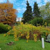 Адлер. Пансионат "Орбита" :: Нина Бутко Адлер. Пансионат "Орбита" :: Нина Бутко