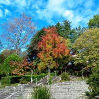 Адлер. Пансионат "Орбита" :: Нина Бутко