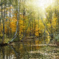 Про Питер :: Владимир Колесников