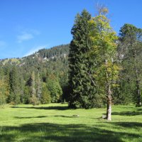 Природа.Альпы :: dli1953 