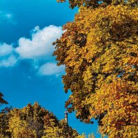 *** :: Яна Горбунова