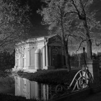 Гатчинский парк :: Наталья 