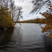 Ноябрьское... :: Николай Гирш Ноябрьское... :: Николай Гирш